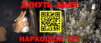 соль ск Славгород