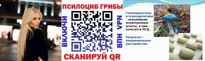 кракен ссылки  Малгобек  Галлюциногенные грибы Magic Shrooms 